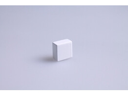 BOUTON RECTANGLE  PICCOLO  LAITON/BLANC MAT